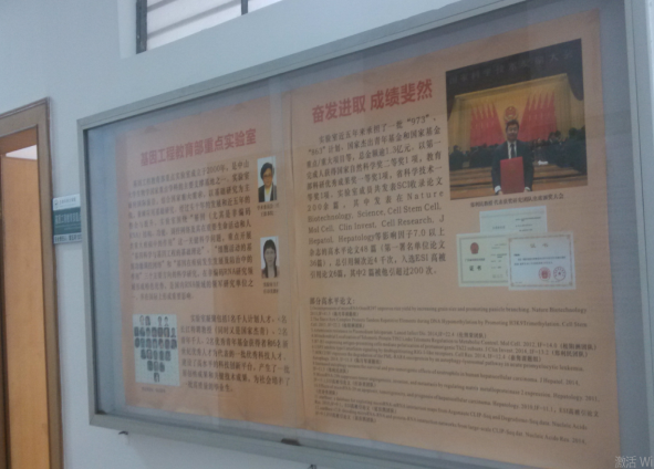 世博娱乐